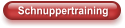 Schnuppertraining